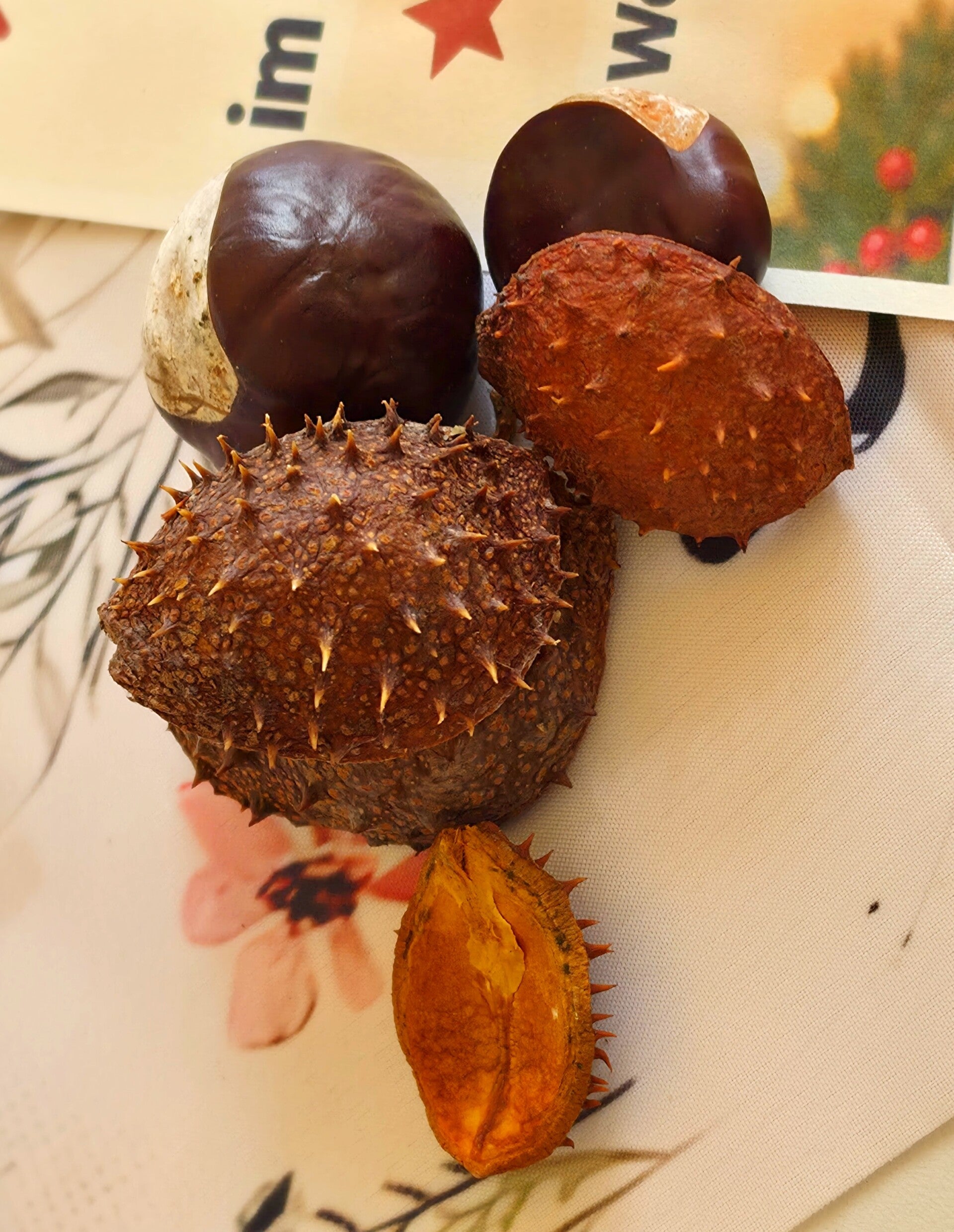 20261003_125743-standard-6a7flc.jpg