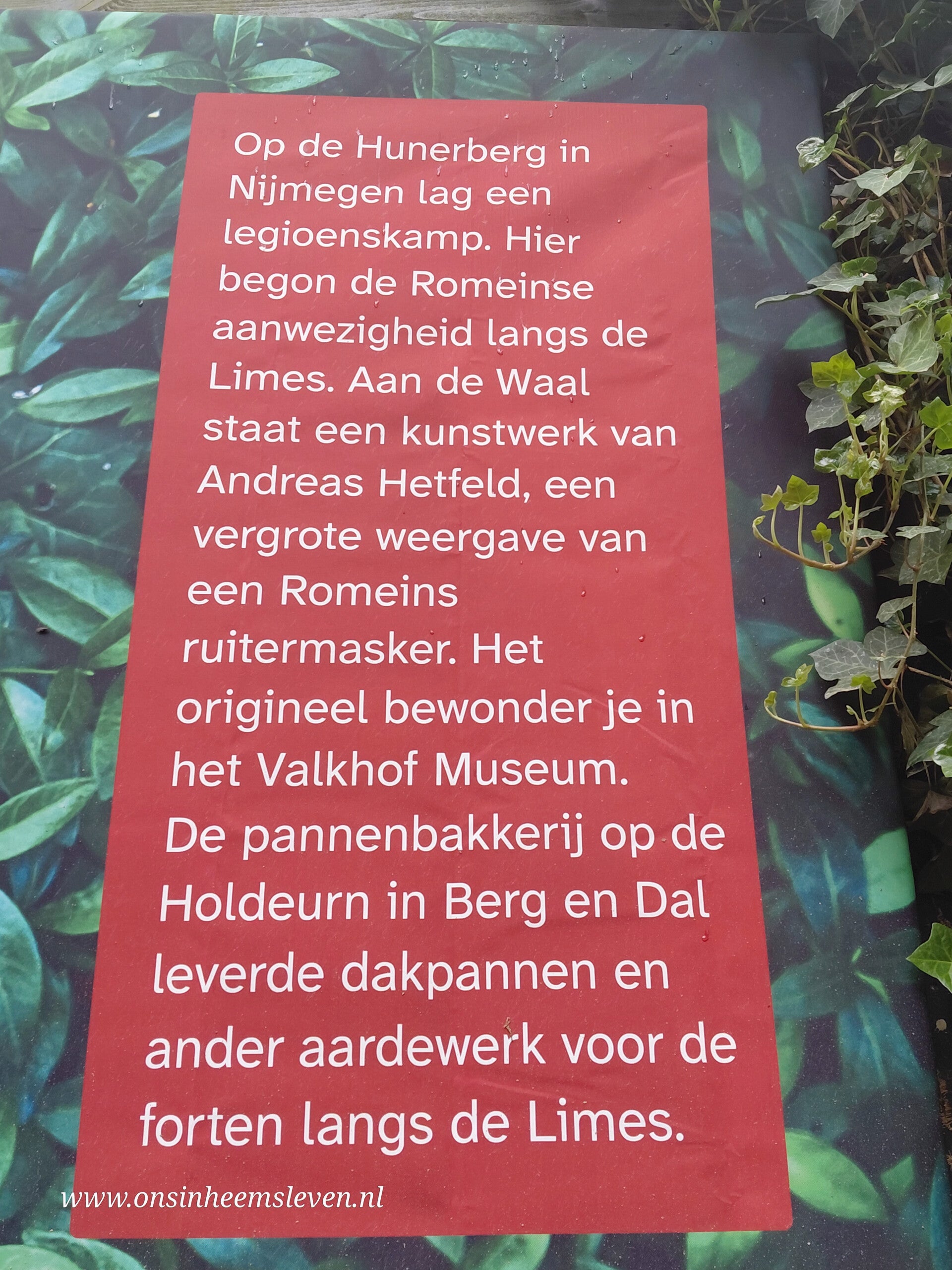 20260504_115232-standard.jpg