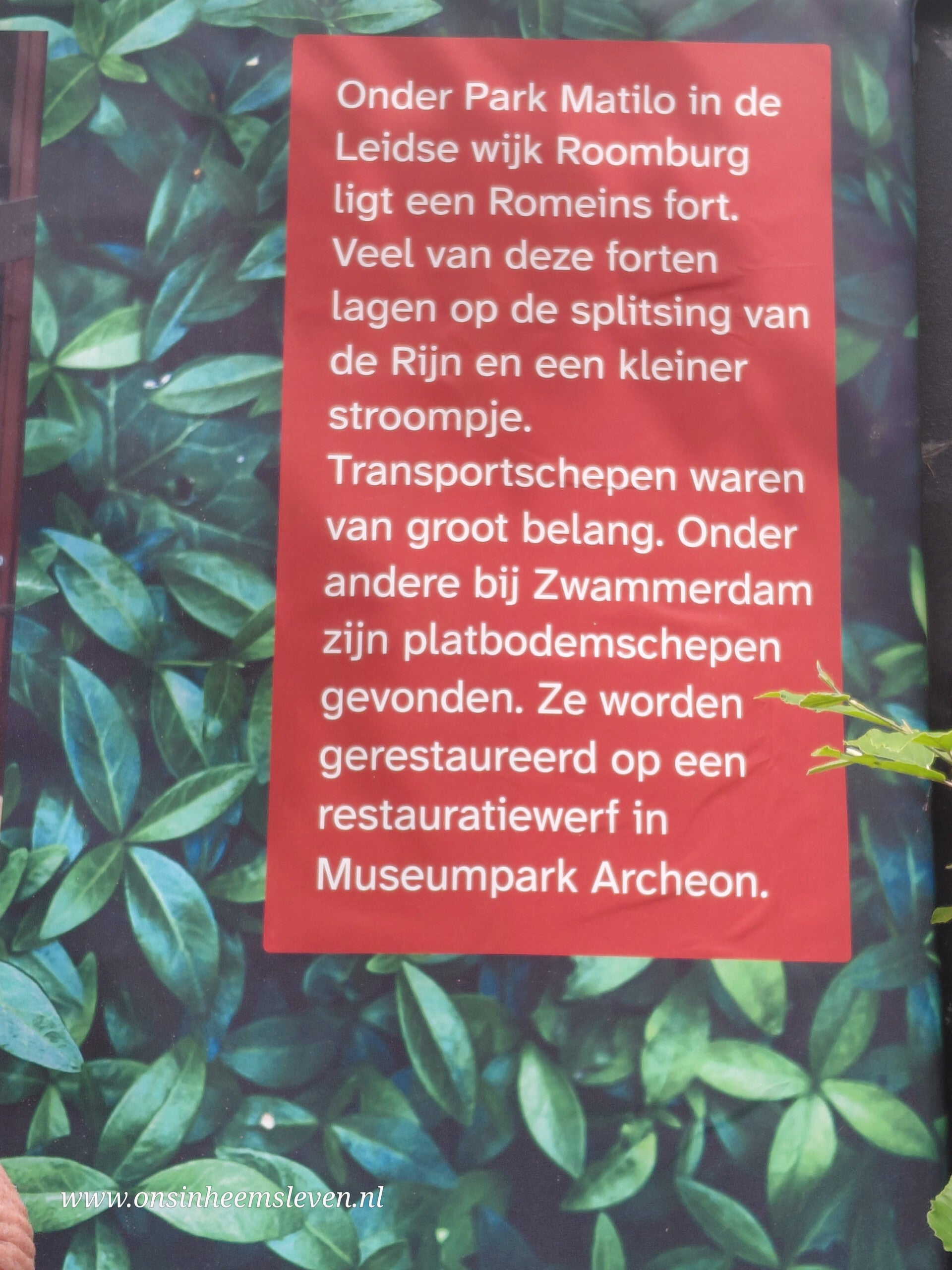20260504_115320-standard.jpg