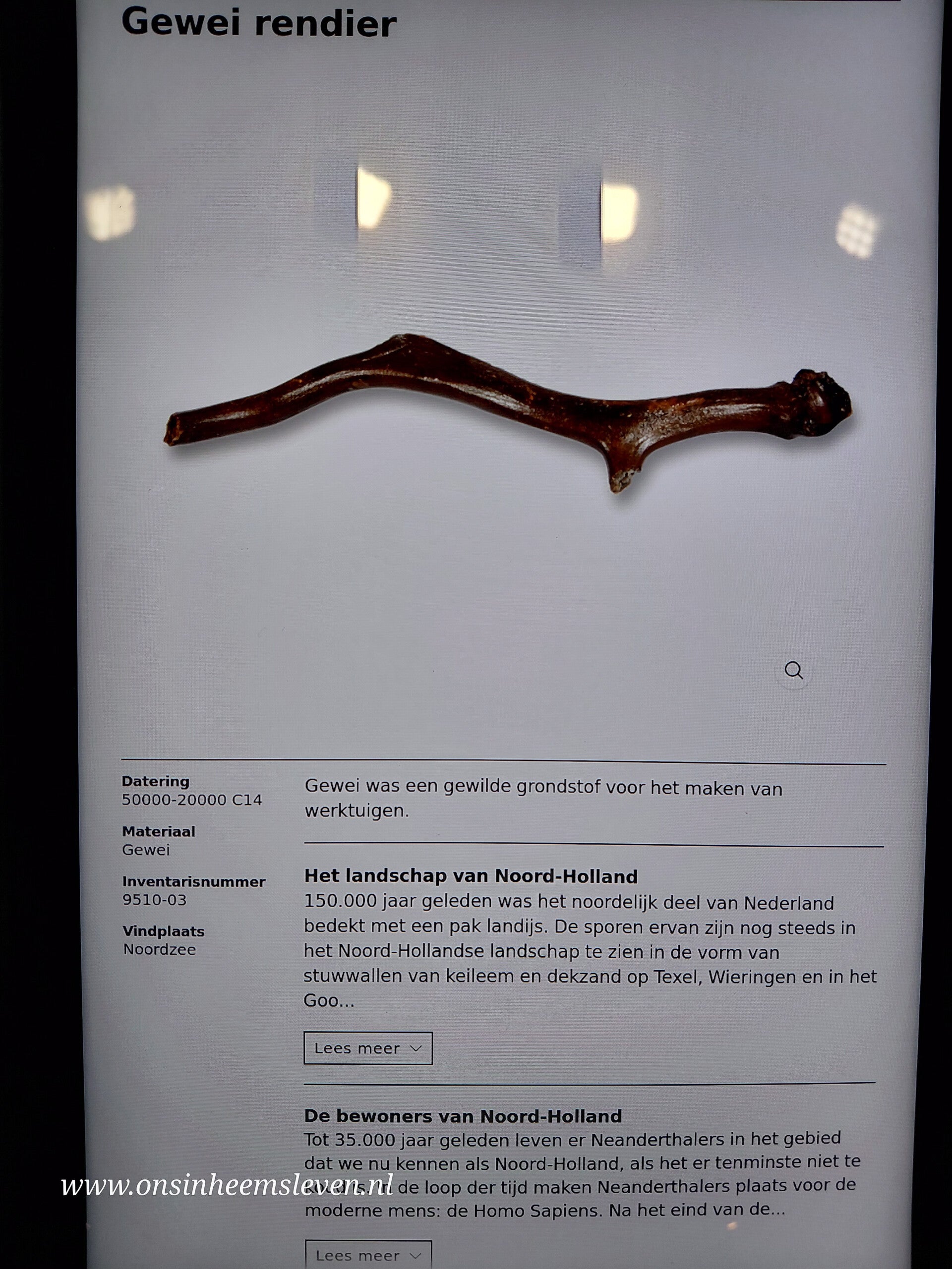 20260812_112822-standard.jpg