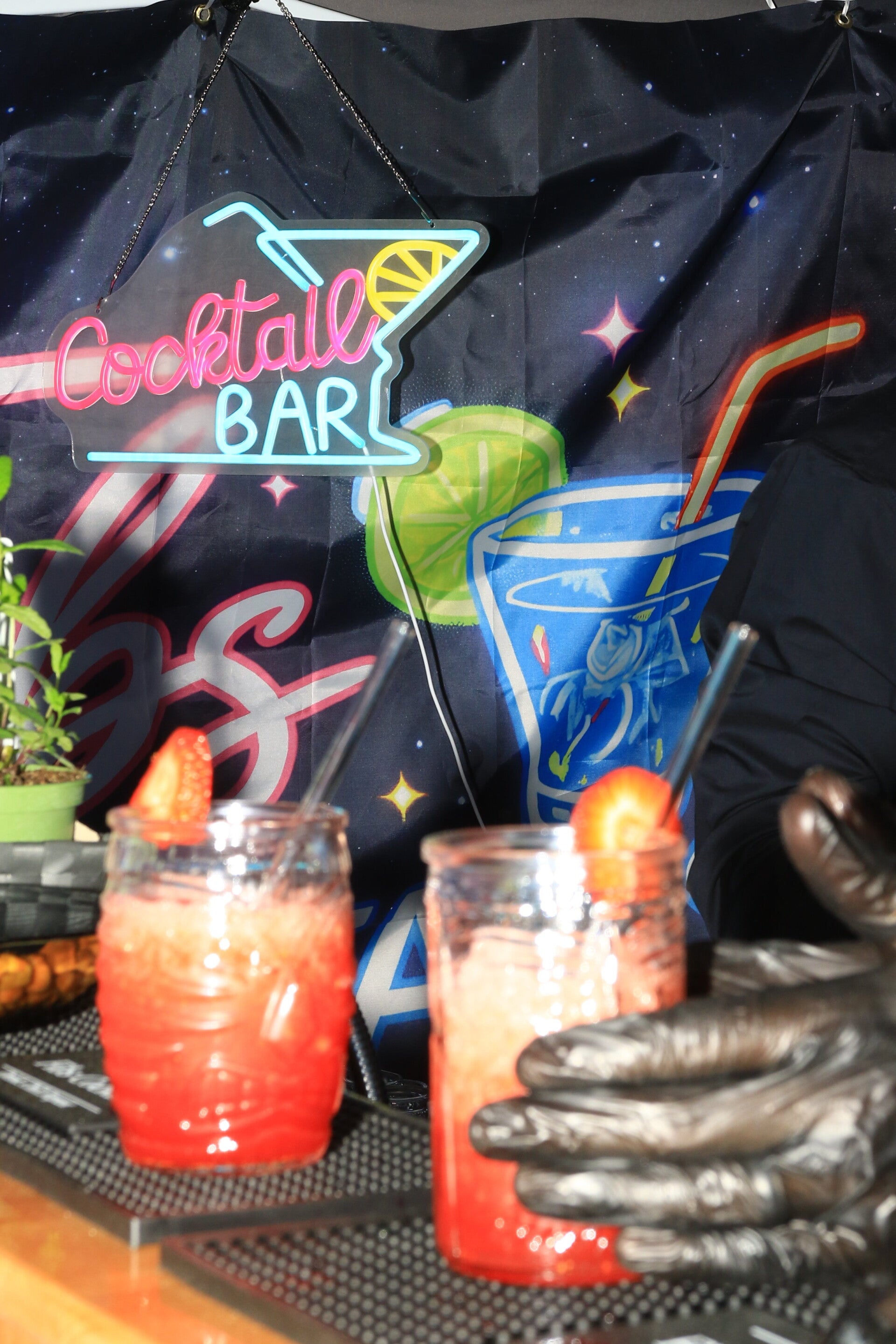 party-68-standard.jpg