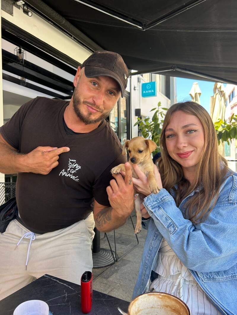 Give a dog a new home Cyprus