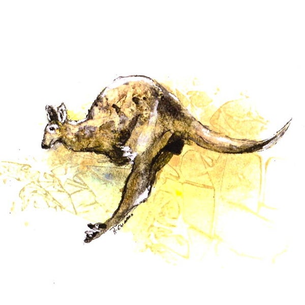 Brillentuch klein Kangaruh