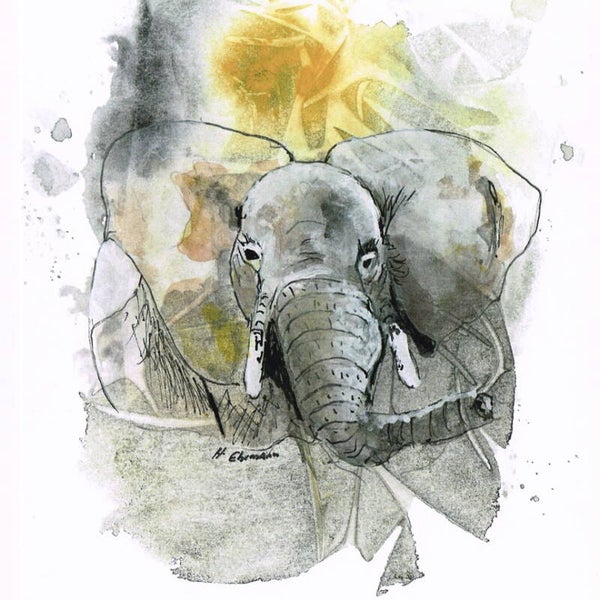 Brillentuch klein Elefant