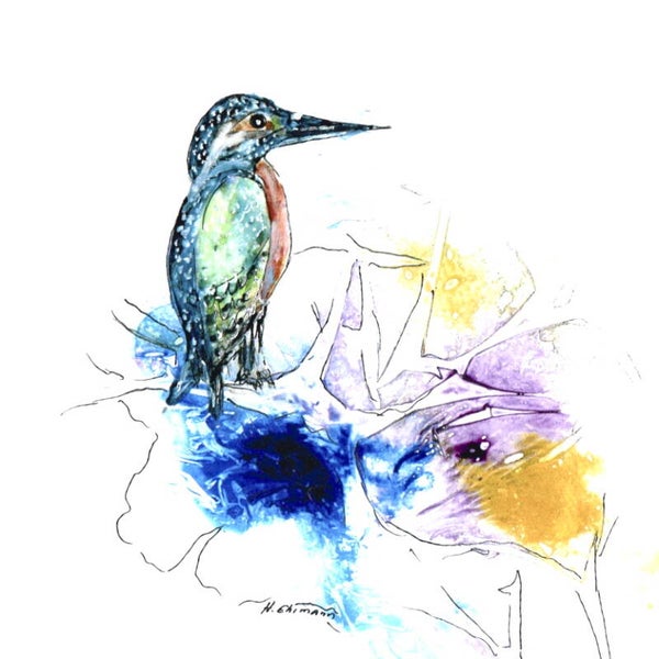 Brillentuch klein Eisvogel