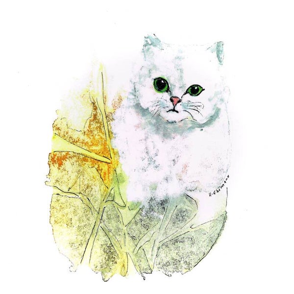 Brillentuch klein Katze weiss