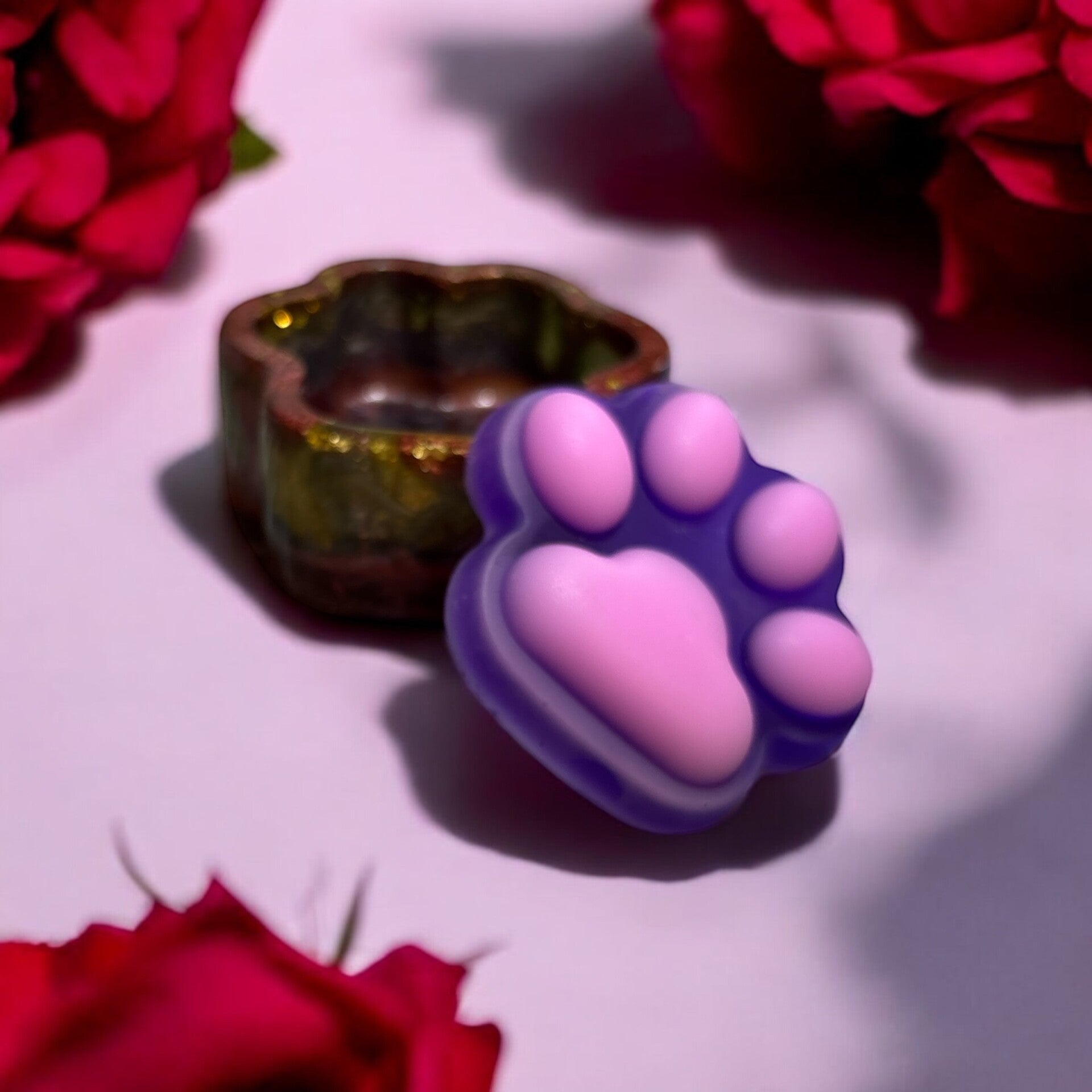 Pfotendose mit Deckel