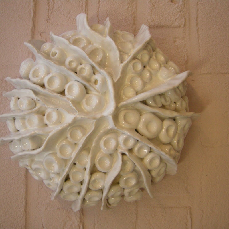DSCN7394.jpg