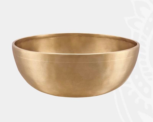 Meinl Sonic Energy   Energy Therapy singing bowl