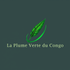 La plume verte du Congo