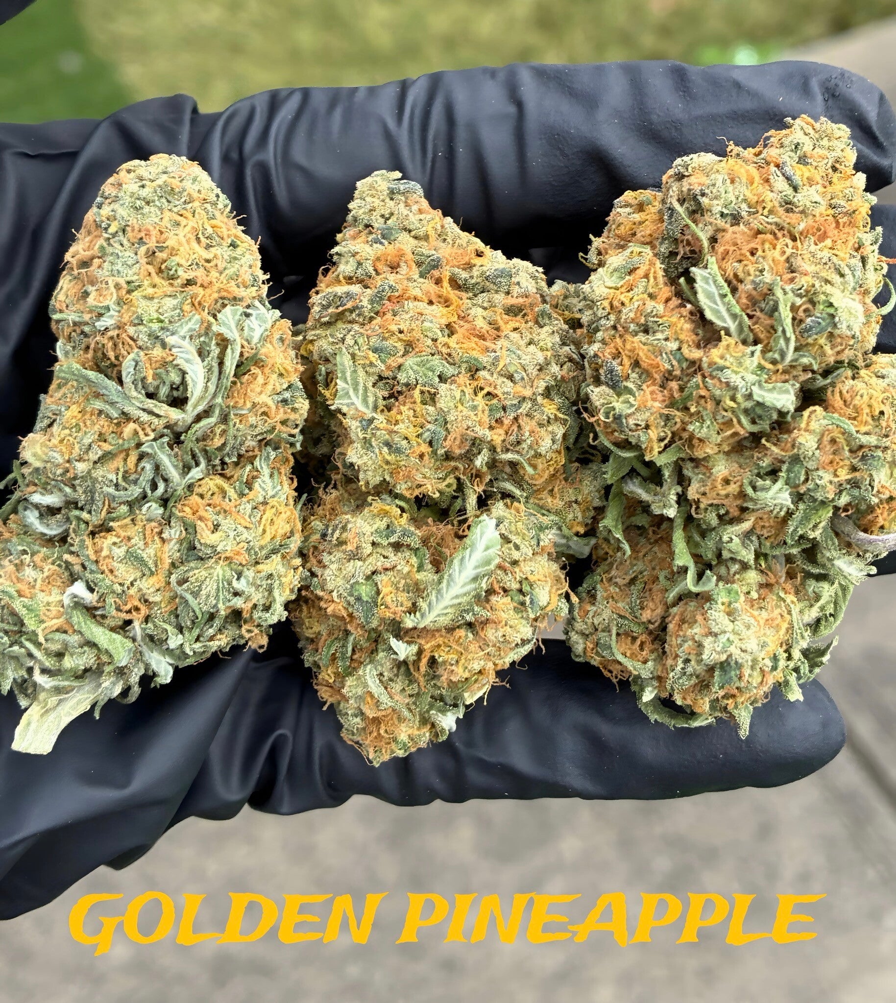 Orange pineapple 7g