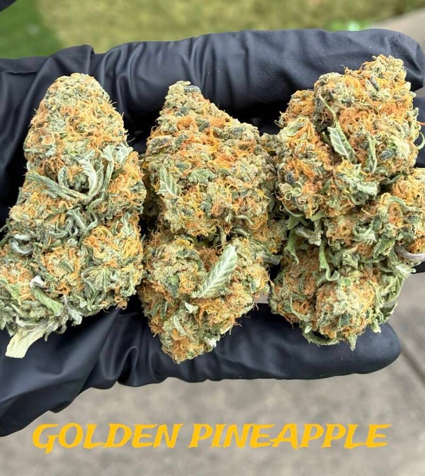 Orange pineapple 7g