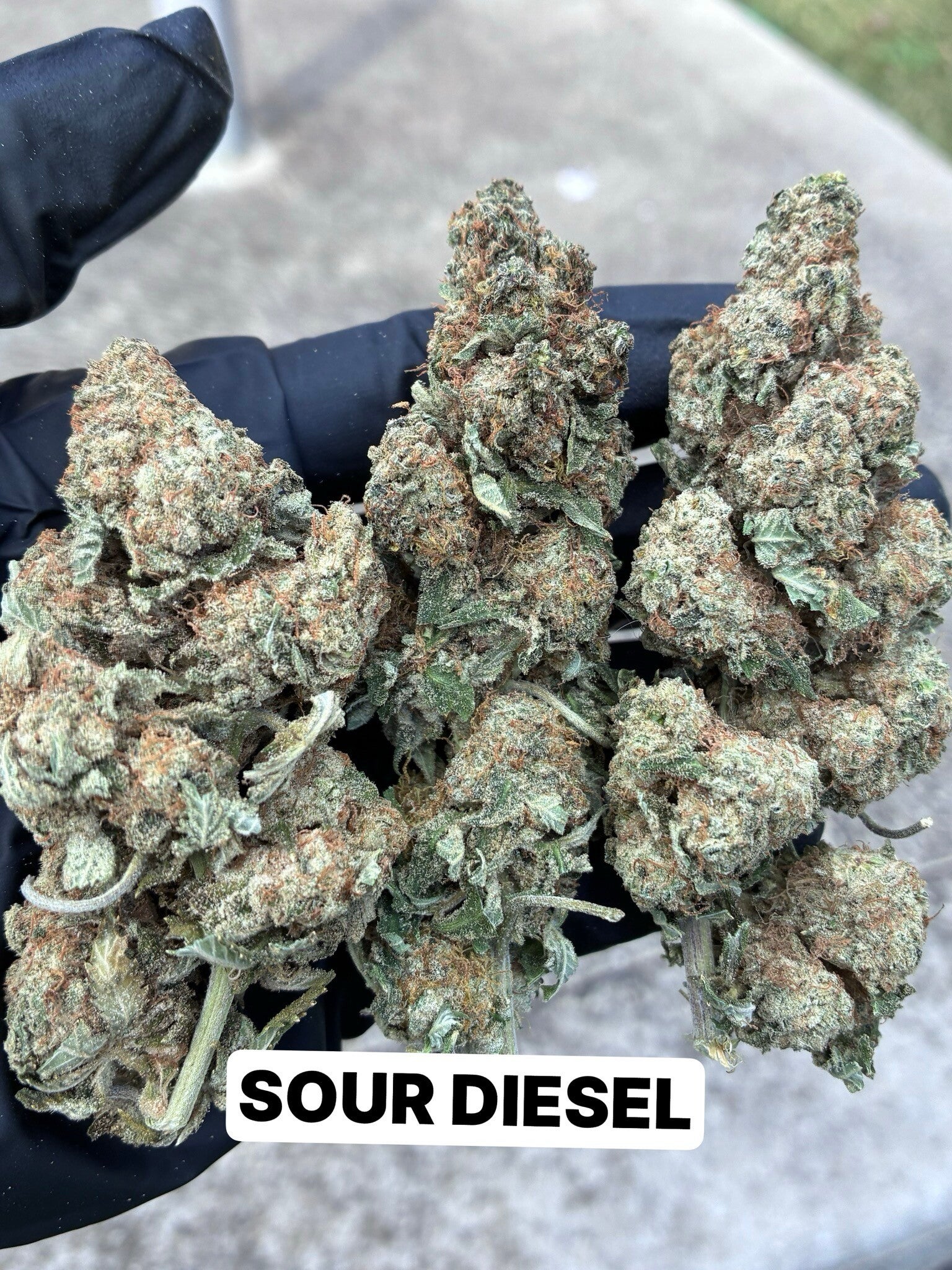 Sour diesel 7g