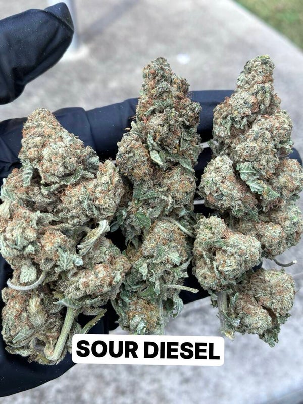 Sour diesel 7g