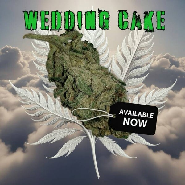 28g day/night pack