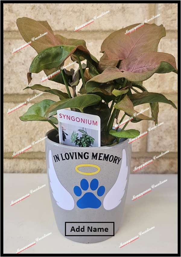 In Loving Memory