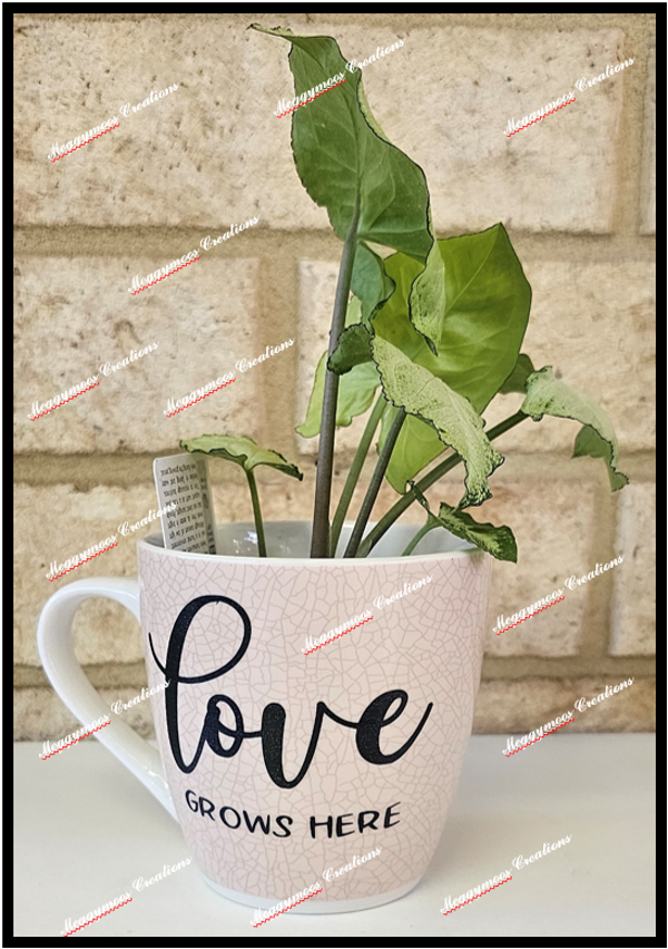Love Grows Here