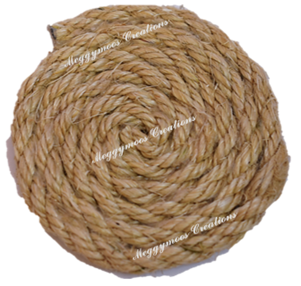 Rope Coaster