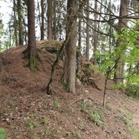 20190525_145559-standard.jpg