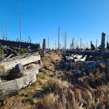 20201106_101026-standard.jpg
