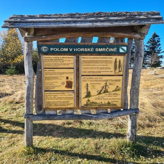 20201106_103358-standard.jpg