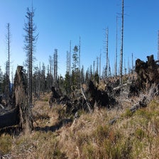 20201106_114919-standard.jpg