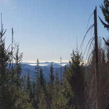 20201109_092232-standard.jpg