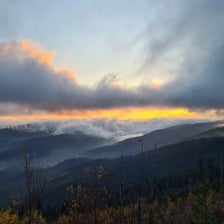 20201112_072446-standard.jpg