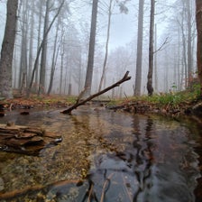 20201113_082308-standard.jpg