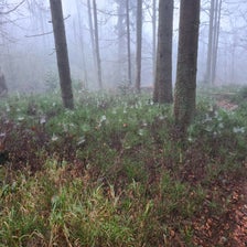 20201113_082936-standard.jpg