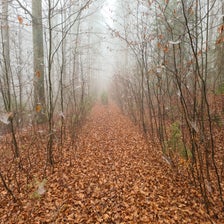 20201113_084130-standard.jpg