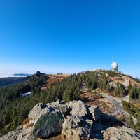 20201125_122817-standard-x3bun6.jpg