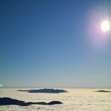 20201125_141240-standard.jpg