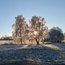 20201127_084620-standard.jpg