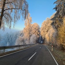 20201128_080556-standard.jpg