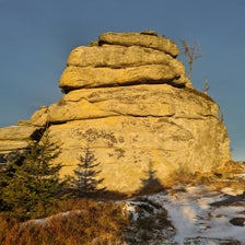 20201204_081059-standard.jpg