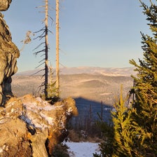 20201204_081407-standard.jpg