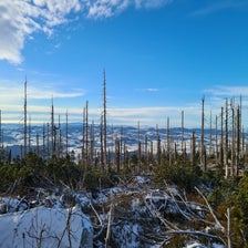 20201204_091444-standard.jpg