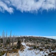 20201204_105841-standard.jpg