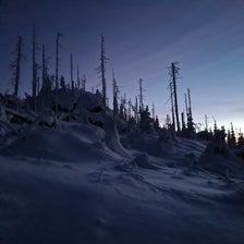 20201227_071040-standard.jpg