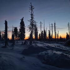20201227_071736-standard.jpg