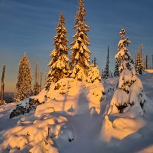 20201227_081021-standard.jpg