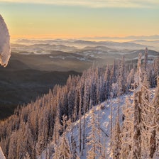 20201227_081814-standard.jpg