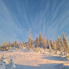 20201227_081903-standard.jpg
