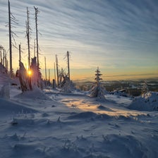 20201227_082412-standard.jpg