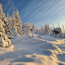 20201227_082614-standard.jpg