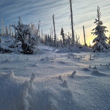 20201227_083112-standard.jpg
