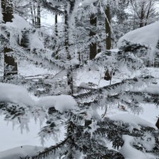 20210104_083232-standard.jpg