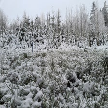 20210104_121550-standard.jpg