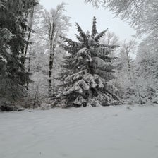 20210106_092108-standard.jpg